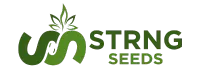 STRNG SEEDS
